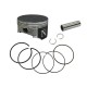 Kit piston Namura de TRX650FA/FGA RINCON 100,95mm