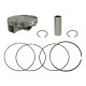 KIT PISTON NAMURA COMPATIBLE HONDA CRF 450 de 2009 / 2013 (95,99mm)