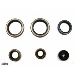 POCHETTE DE JOINTS SPI MOTEUR PSYCHIC KTM SX125 TC125 03/15