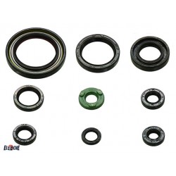 POCHETTE DE JOINTS SPI MOTEUR PSYCHIC HONDA CRF450 R 09/14