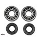 KIT ROULEMENTS + SPYS VILEBREQUIN 60 65 85 KX