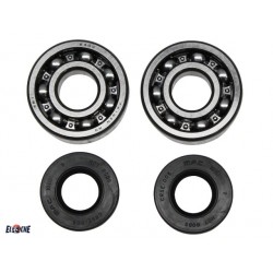 KIT ROULEMENTS + SPYS VILEBREQUIN 60 65 85 KX