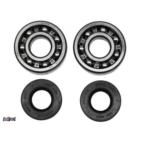KIT ROULEMENTS + SPYS VILEBREQUIN 60 65 85 KX