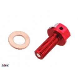 SET VIS DE VIDANGE OR SUZUKI RM-Z 250 07/13 DR-Z 00/13