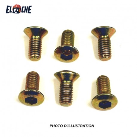 TALON DISC BOLTS X 6  TDB6