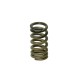 INTAKE/EXHAUST VALVE SPRING