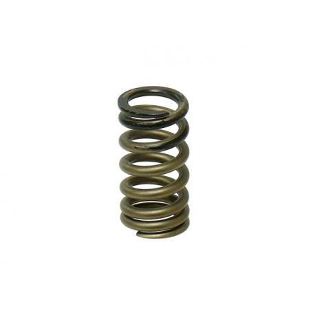 INTAKE/EXHAUST VALVE SPRING