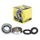 Kit roulements et spis de vilebrequin KTM85/105SX '03-24