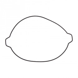 JOINT DE COUVERCLE D'EMBRAYAGE PROX KTM 125/150SX '16-22