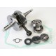 VILEBREQUIN  200  - Yamaha Blaster / AT09460-1/HR4005