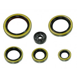 POCHETTE DE JOINTS SPI MOTEUR PSYCHIC KTM SX250 TE250 11/15