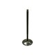 EXHAUST VALVE, RACING EXHAUST VALVE, RACING