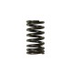 RESSORT DE SOUPAPE D'ADMISSION PSYCHIC COMPATIBLE YAMAHA 450 YZF 10/17