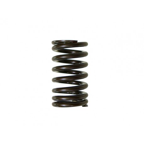 RESSORT DE SOUPAPE D'ADMISSION PSYCHIC COMPATIBLE YAMAHA 450 YZF 10/17