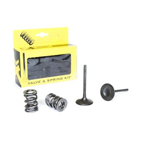 KIT DE CONVERSION DE SOUPAPES D'ADMISSION EN ACIER PROX KAWASAKI KX450F de 2009