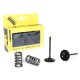 KIT DE CONVERSION DE SOUPAPES D'ADMISSION EN ACIER PROX HONDA CRF450R de 2009 /