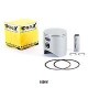 Kit Piston ProX TM MX300 '02-24 + EN300 '02-24 (71.95mm)