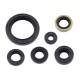 POCHETTE DE JOINTS SPI MOTEUR PSYCHIC KAWASAKI 450 KX 2019/2022